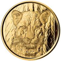 Ghana 500 Cedis Leopard 2023 1 Oz Gold (nur 100 Stck!!!)