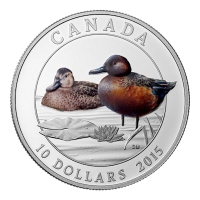 Kanada - 10 CAD Enten Zimtente 2015 - 1/2 Oz Silber
