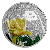 Kanada - 20 CAD Wlder Carolinischer Tulpenbaum 2015 - 1 Oz Silber