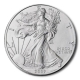 USA - 1 USD Silver Eagle 2009 - 1 Oz Silber